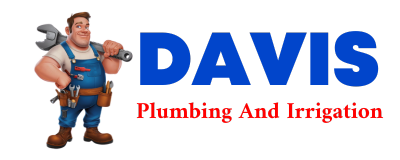 Trusted plumber in DUTCH JOHN